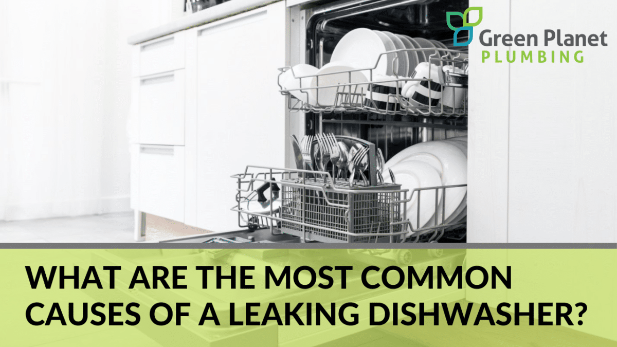 The Most Common Causes of a Leaking Dishwasher Green Plumbing